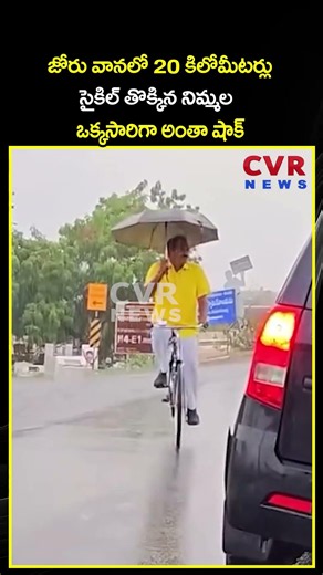 జోరు వానలో 20 కిలోమీటర్లు సైకిల్ తొక్కిన నిమ్మల ఒక్కసారిగా అంతా షాక్ | Viral Video | CVR