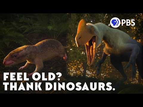 How Dinosaurs May Have Cursed Us With Aging