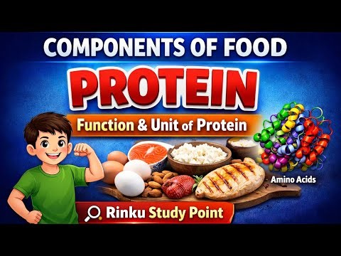 # Class 6 Science/Lesson 1/Components of Food/Protein/Function of Protein/ Unit of Protein/Part 5..
