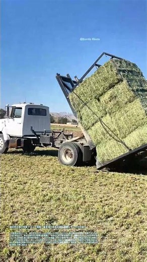 油圧抱え機で牧草ブロック積載：畜産畑の自走式飼料運搬トラックの仕組み