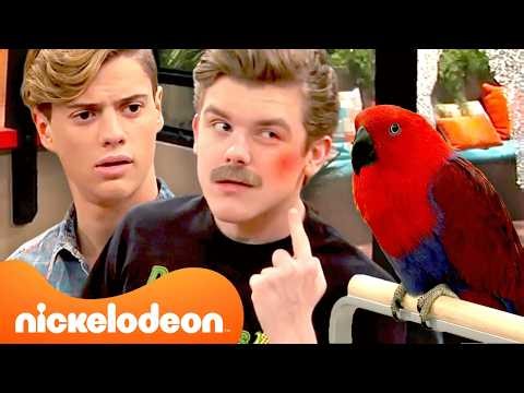 Henry, Jasper & Charlotte Panic Over a Parrot! 😱🦜 | Henry Danger | Nickelodeon UK