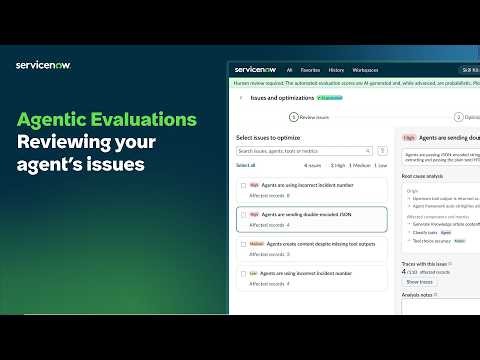 Agentic Evaluations | Reviewing your agent’s issues