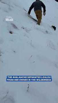 Loulou had gone missing for more than 2 days in the Alaskan wilderness, but was thankfully found