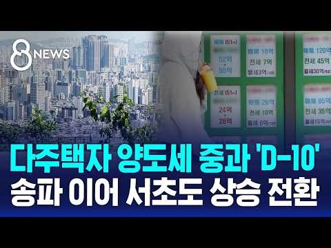 중과 부활 앞두고 '들썩'..송파 이어 서초도 '반등' / SBS 8뉴스