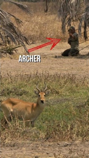 CRAZY Archery Shot in slow motion! 👀🤯