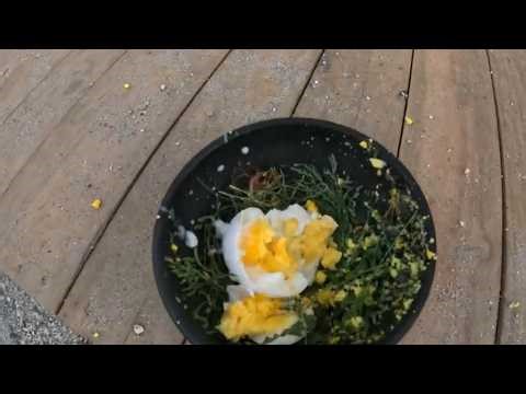 How To Make an Egg EXPLODE!