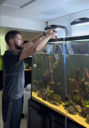 Cleaning the tall aquarium! | aquarium