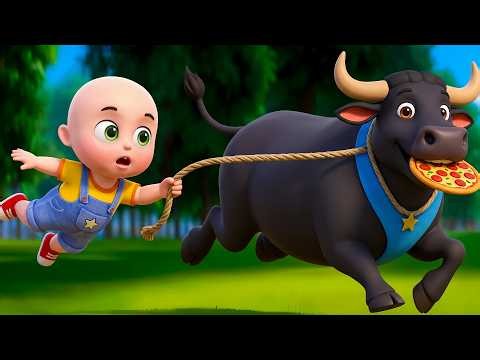 Baby Lola Buffalo Song New Compilation | Old MacDonald in Farm | Baby Cartoon & Kids Songs Baby Bobo