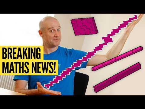 We discovered a new net!