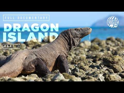 The Secret World of the Komodo Dragon