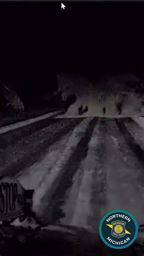 Tree falls in front of trooper during ice storm