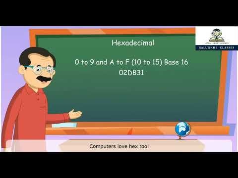 💻 Understanding Number Systems in Computers | Binary, Decimal, Octal & Hexadecimal Explained