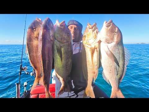 BOOM 💥 🤯 100+ kg ΨΆΡΙΑ σε ένα VIDEO πού ΣΠΆΕΙ ΡΕΚΌΡ 😱 Fish On Quest ΧΕΙΜΕΡΙΝΌ στο ΙΌΝΙΟ ❤️