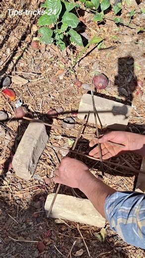 👆👉tips and tricks👍