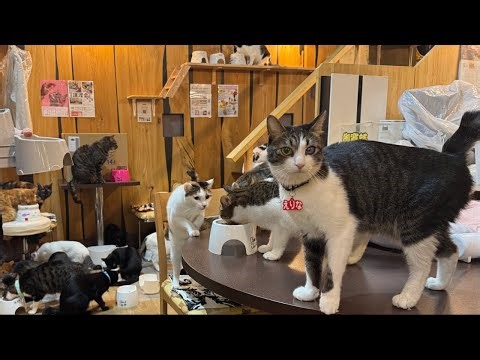 Thank you for your support!