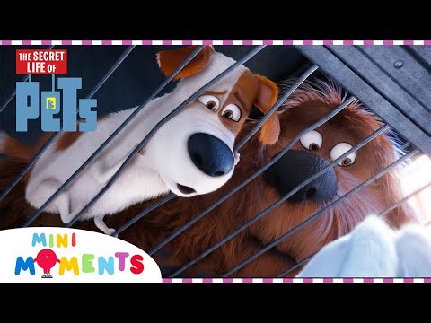 Pet Prison Break! 🚨 | The Secret Life Of Pets | Movie Moments | Mini Moments