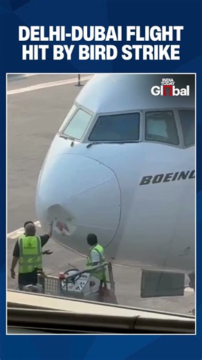 Emirates Flight EK517 Delayed in Delhi After Bird Strike Disrupts Scheduled Departure to Dubai