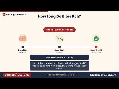 Why Do Bed Bug Bites Itch? And How to Stop the Itching
