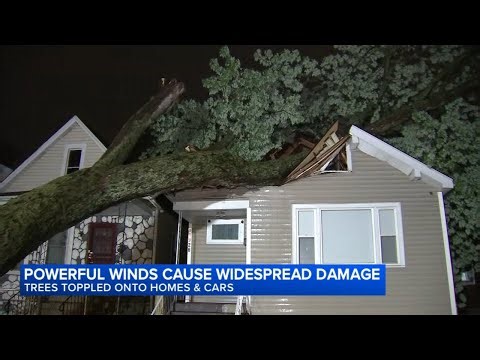 Strong storms rip roof from school, knock trees onto houses and delay travel in Chicago area