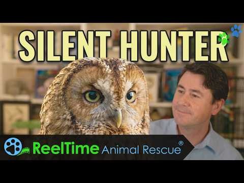 Owl Biology and Conservation with Mr. O and Aluco | K-12 Virtual Field Trip | 9.24.26