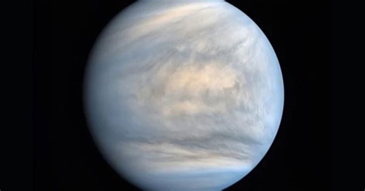 Did life come to Venus from Earth or Mars? New study offers clues