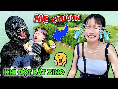 GIẢI CỨU ZINO BỊ KHỈ ĐỘT BẮT RA ĐẢO HOANG - VÊ VÊ CHANNEL