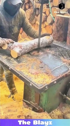 High-Speed Wood Cutting at a Sawmill | Precision Tree Processing Machine