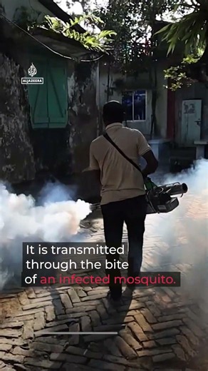 Bangladesh Dengue deaths surpass 233 in deadly outbreak | AJ #short