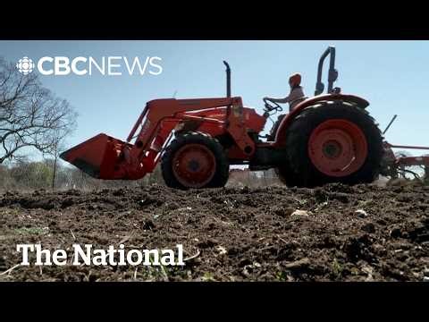 Popular nitrogen-based fertilizer could damage environment, study suggests