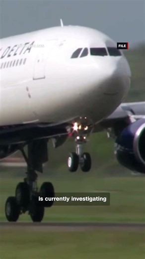 Apparent firework hits Delta plane in Chicago
