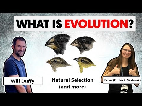 Teaching Famous Creationist Will Duffy Evolutionary Theory (LIVE) Natural Selection (etc.)