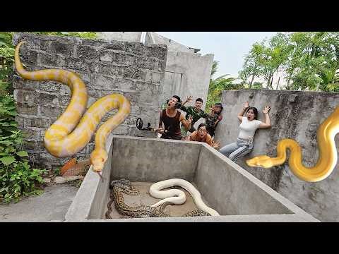 Brave Expert Rescues Younger Sister from Giant White Python