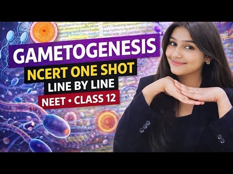 Gametogenesis | Spermatogenesis & Oogenesis | Class 12 Biology | NEET, CUET- UG