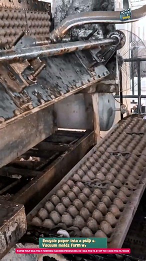 Paper Pulp Egg Tray Forming Machine Producing 30-Egg Trays at up to 7,000 Trays/Hour