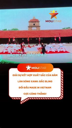 Làn Sóng Xanh: Cuộc Chiến Giữa Made In Vietnam và Bắc Bling