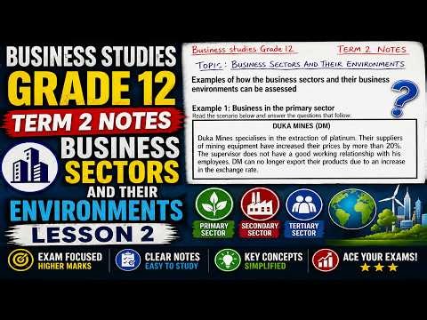 Business Studies Grade 12 Business Sectors and their environments Term 2 Notes LESSON 2