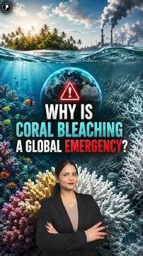 Coral Bleaching Explained | Why Do Corals Turn White?