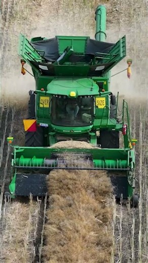 Here's a few of this year's highlights as we say farewell to 2025