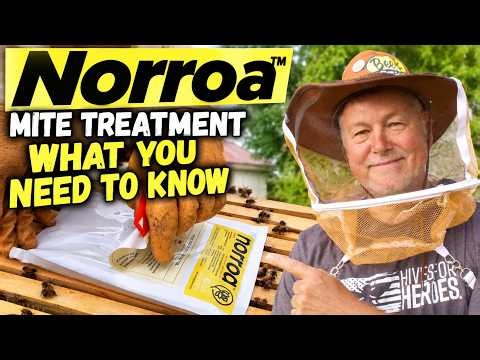 Beekeeping: I Tried NORROA — Here's What You Should Know!