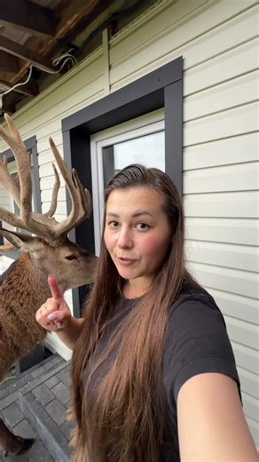 When Does the Deer Boris Shed Antlers?