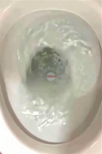 WHY your toilet flush is slow (even when it’s not clogged)