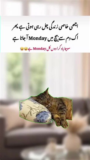 Funny Monday Meme: