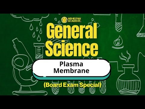 Plasma Membrane Explained | Board Exam Special