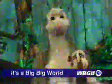 PBS Kids Program Break (2005 WBGU)
