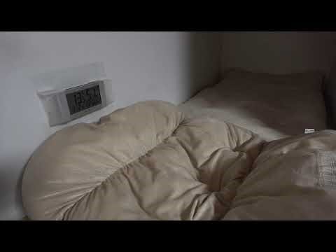 2026.1.2 猫部屋 ハウス２