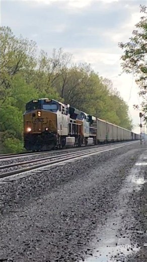 CSX train M634 the "garbage express" rips by with a horn hello ans a recently repainted ES40DC!