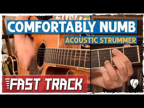 Comfortably Numb – Easy Guitar Play Along (No Talking)
