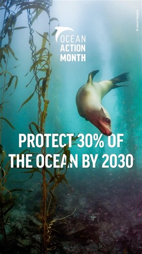 Protect 30% of the Ocean by 2030