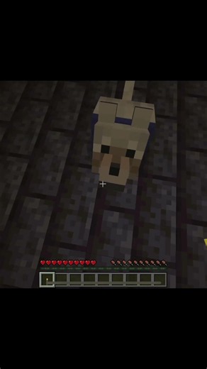 Jerry.jar sneak peek 3 #minecraft #minecraftmod #jerry #minecraftshorts #minecraftsurvival #verity