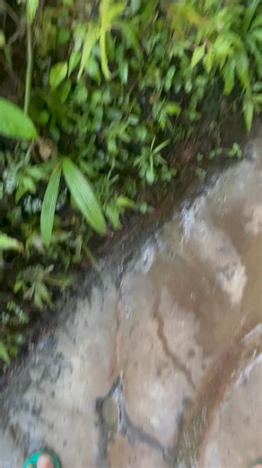 first ligo after 3 months 🐈‍⬛ | Rock de La Rosa